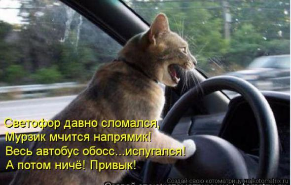 Очередная порция юмора