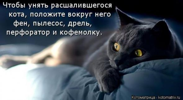 Очередная порция юмора