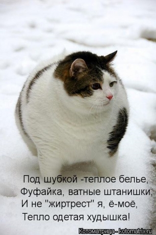 Очередная порция юмора