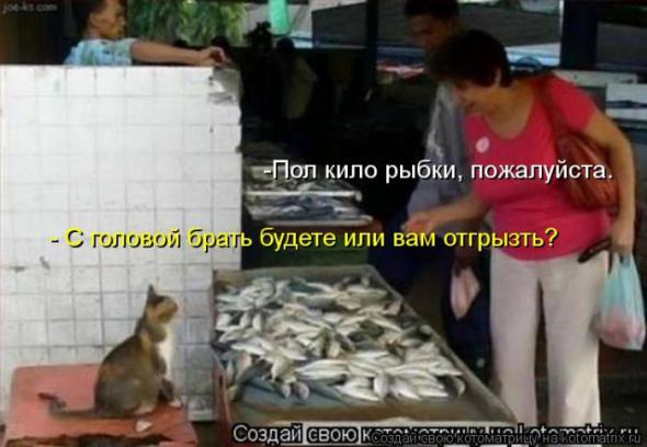 Очередная порция юмора