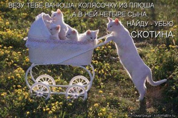 Очередная порция юмора
