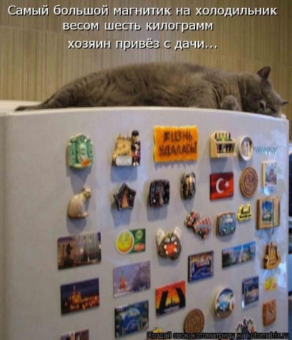 Очередная порция юмора