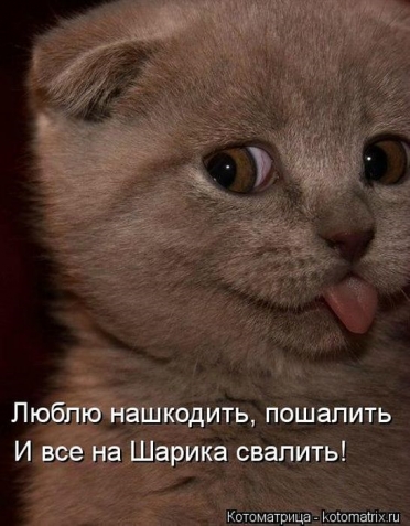 Очередная порция юмора