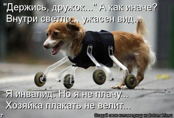 Очередная порция юмора