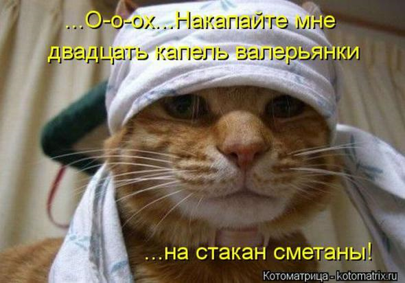Очередная порция юмора