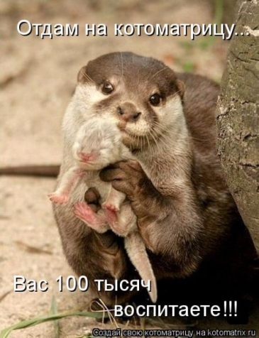 Очередная порция юмора (взято из интернета)