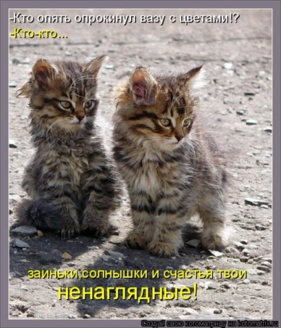 Очередная порция юмора (взято из интернета)