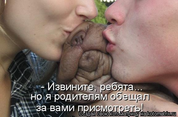 Очередная порция юмора (взято из интернета)