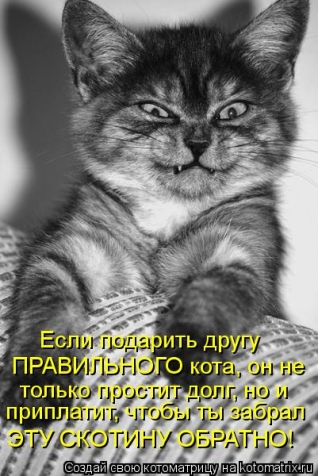 Юмор+котоматрица