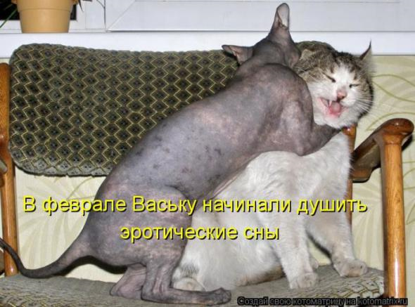 Юмор+котоматрица