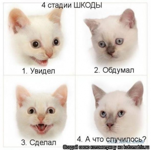Юмор+котоматрица
