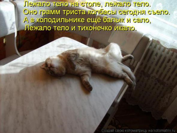 Юмор+котоматрица