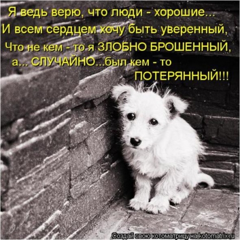 Юмор+котоматрица