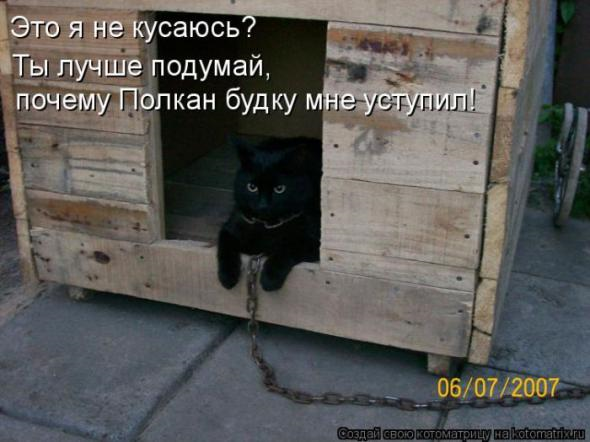 Юмор+котоматрица
