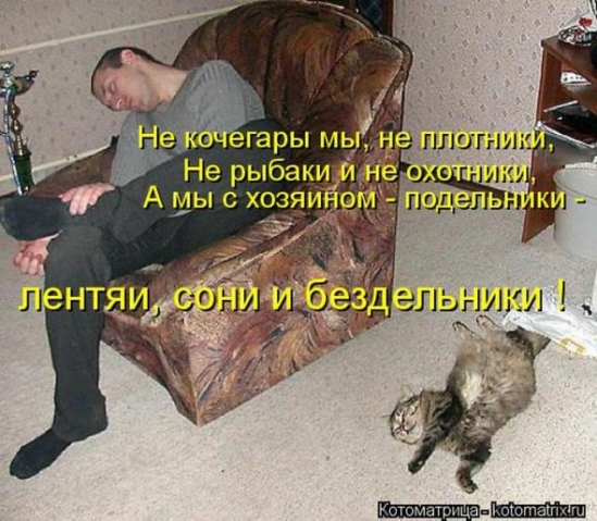 Юмор+котоматрица