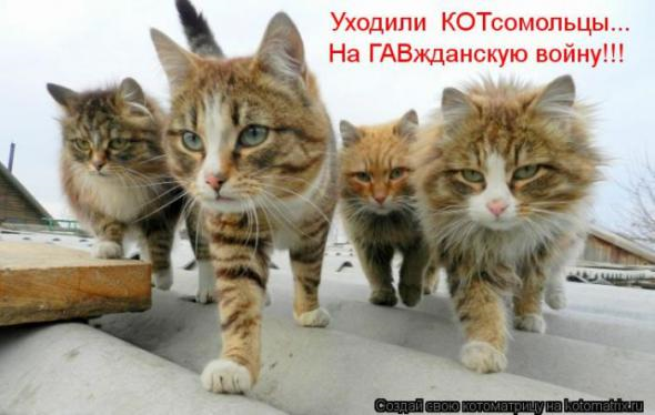 Юмор+котоматрица
