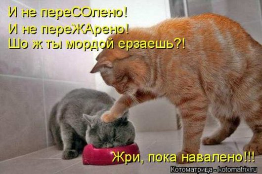 Немного полезного+юмор (конечно же из интернета)
