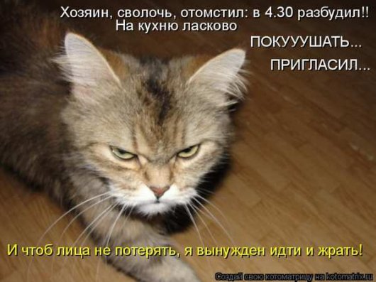 Немного полезного+юмор (конечно же из интернета)