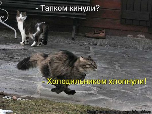 Немного полезного+юмор (конечно же из интернета)