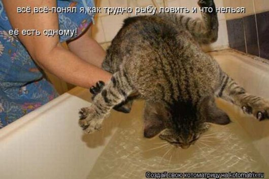 Немного полезного+юмор (конечно же из интернета)