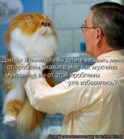 Немного полезного+юмор (конечно же из интернета)