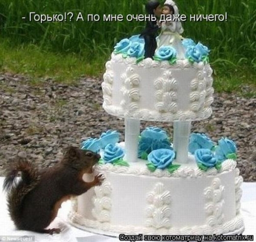 Очередная порция юмора и смеха