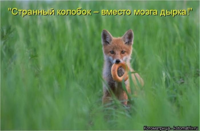 Немного юмора и разных случайностей
