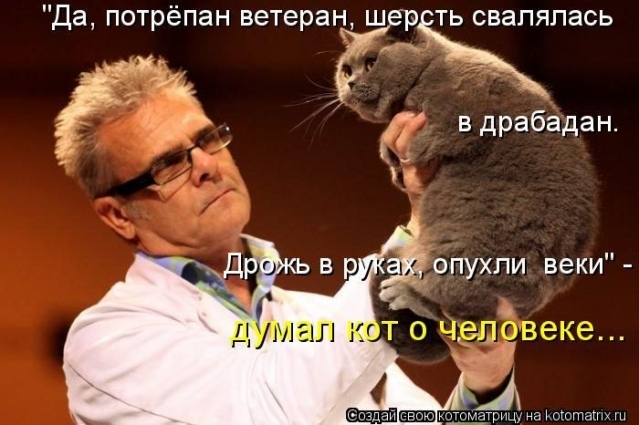 Немного юмора и разных случайностей