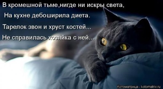 Юмор и котоматрица