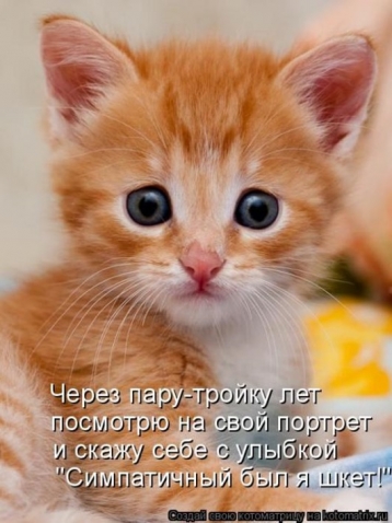 Юмор и котоматрица