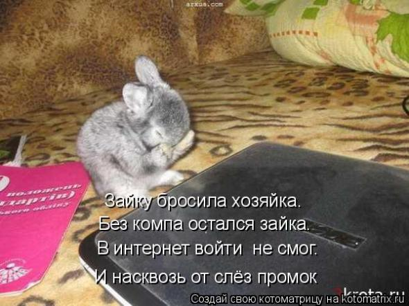 Очередная котоматрица+другое зверье