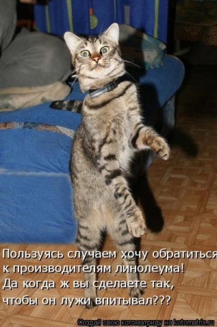 Очередная котоматрица+другое зверье