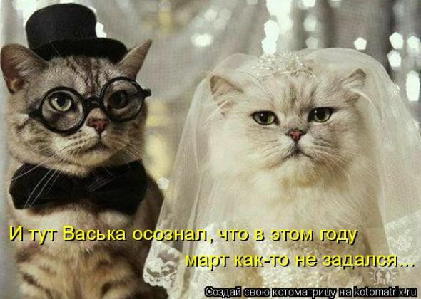 Очередная котоматрица+другое зверье