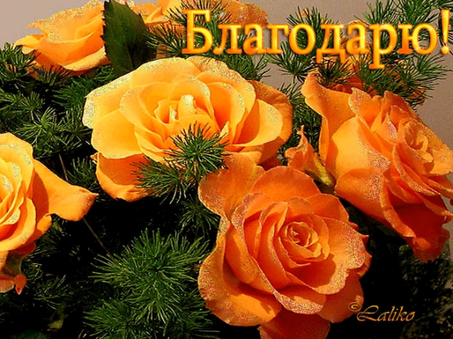Сердечная благодарность моей волшебнице