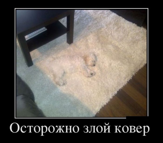 Очередная котоматрица