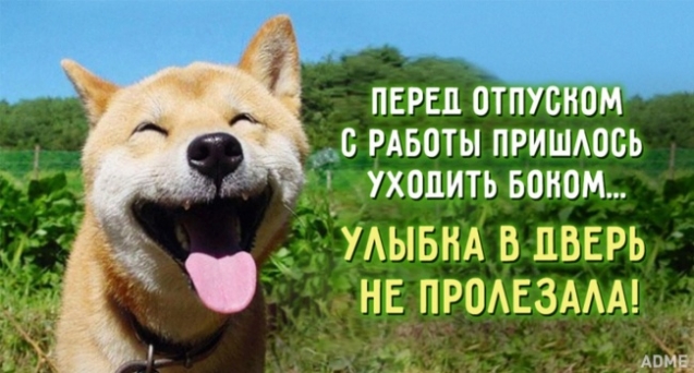 Картинки со смыслом (из интернета)