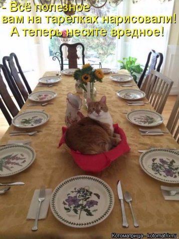Очередная котоматрица