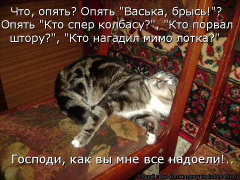 Картинки со смыслом+котоматрица, немного смешных рассказов (из интернета)