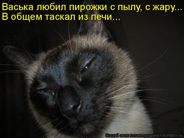 Очередная котоматрица