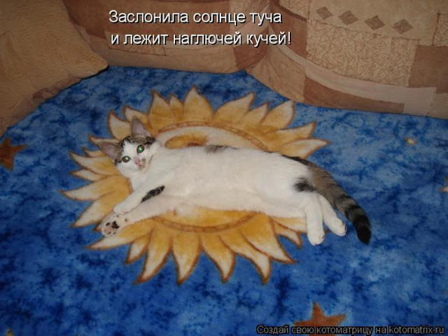 Очередная котоматрица