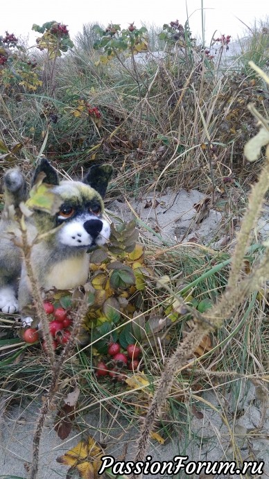 Мой новый Друг