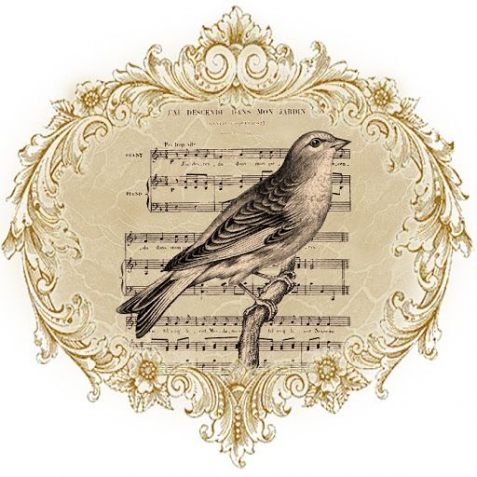 Ноты