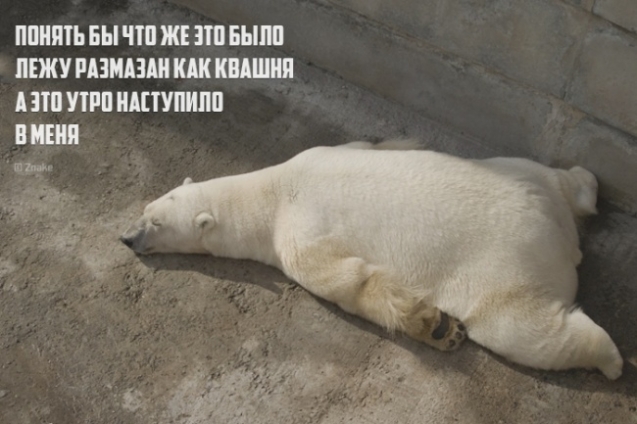 В жизни нужно быть непредсказуемым и коварным как...ОГУРЕЦ С ГОРЬКОЙ ПОПКОЙ!)))))