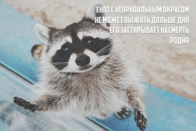 В жизни нужно быть непредсказуемым и коварным как...ОГУРЕЦ С ГОРЬКОЙ ПОПКОЙ!)))))