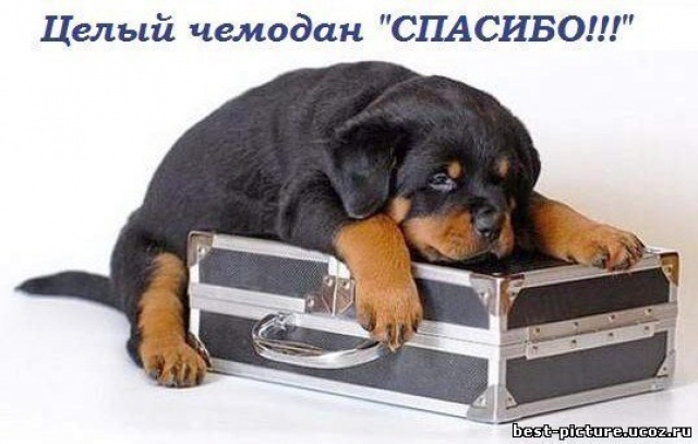 Посылочка от самой замечательной новогодней феечки- снегурочки!!!