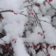 sxod07 ()