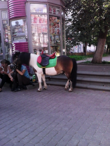 Путешествие по Нижнему Новгороду...