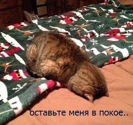 Еще немного юмора.