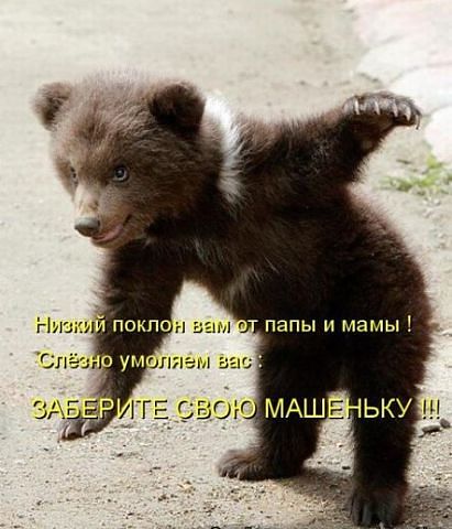 Еще немного юмора.