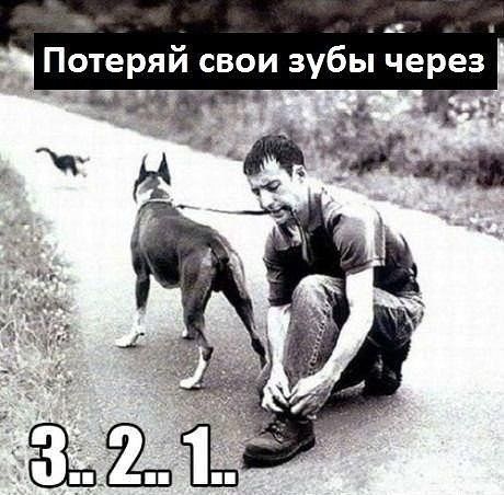 Еще немного юмора.